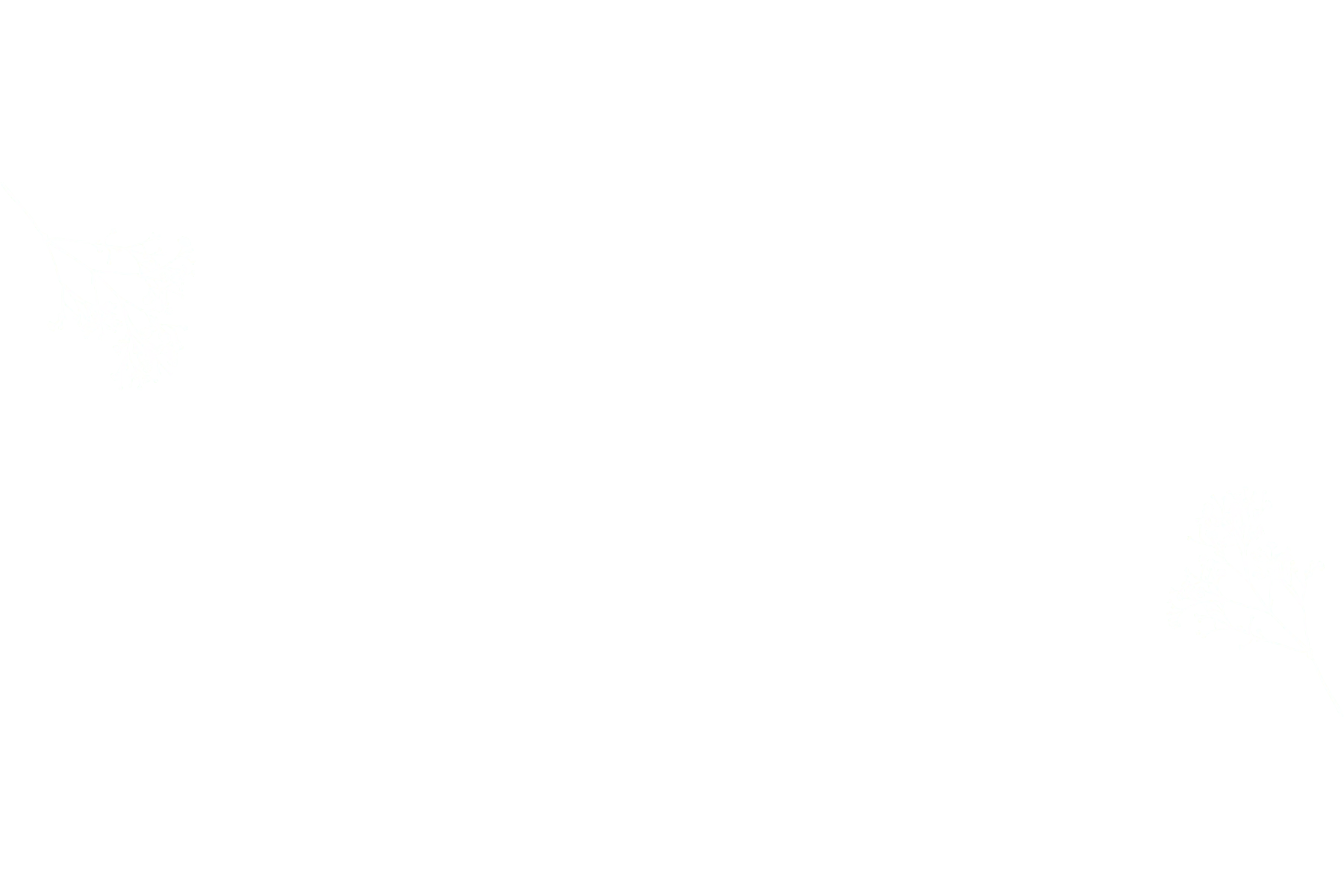 Background-homepage.png